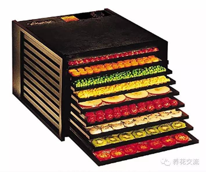 薰衣草怎么做干花，干花制作居然这么简单
