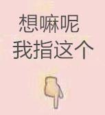 疯狂动物园都有什么野牛，疯狂动物园都有什么野牛的（西部牛仔竞技——人兽大战下的血腥杀戮）