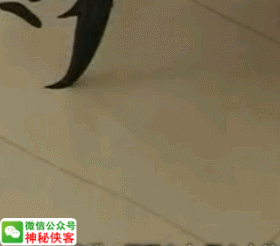 三点水加个心，三点水加个心念什么（你的欧体成功90%）