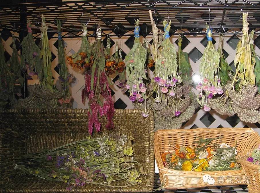 薰衣草怎么做干花，干花制作居然这么简单