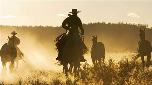 疯狂动物园都有什么野牛，疯狂动物园都有什么野牛的（西部牛仔竞技——人兽大战下的血腥杀戮）