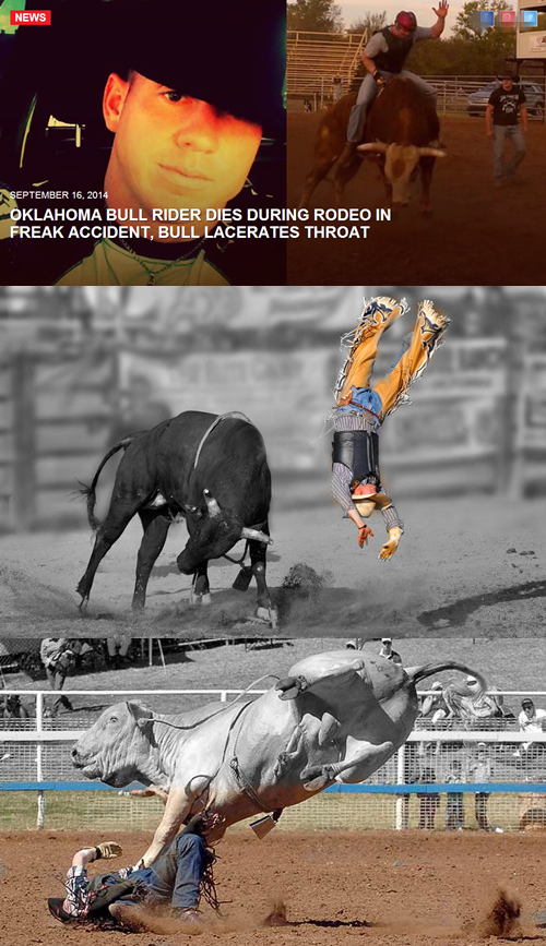 疯狂动物园都有什么野牛，疯狂动物园都有什么野牛的（西部牛仔竞技——人兽大战下的血腥杀戮）