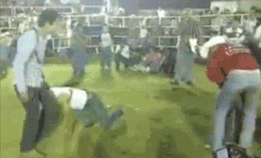 疯狂动物园都有什么野牛，疯狂动物园都有什么野牛的（西部牛仔竞技——人兽大战下的血腥杀戮）