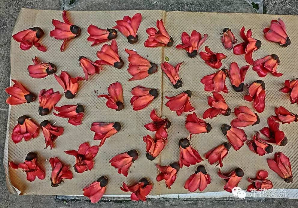 薰衣草怎么做干花，干花制作居然这么简单