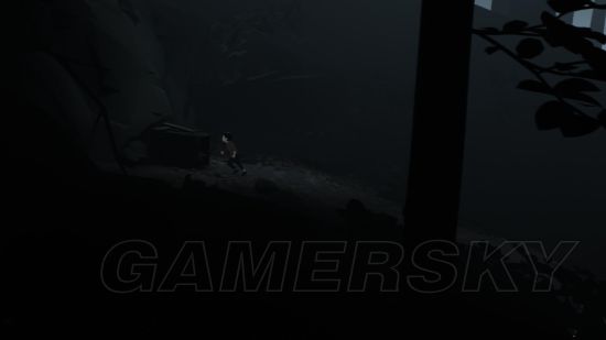 limbo 攻略，limbo攻略（《Inside》图文攻略）