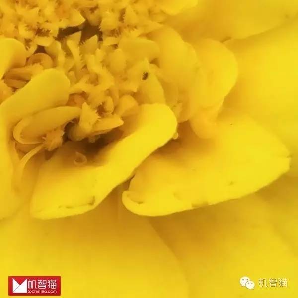 安卓狂野飙车8闪退，狂野飙车8闪退怎么办（从“噱头”到“变现”）