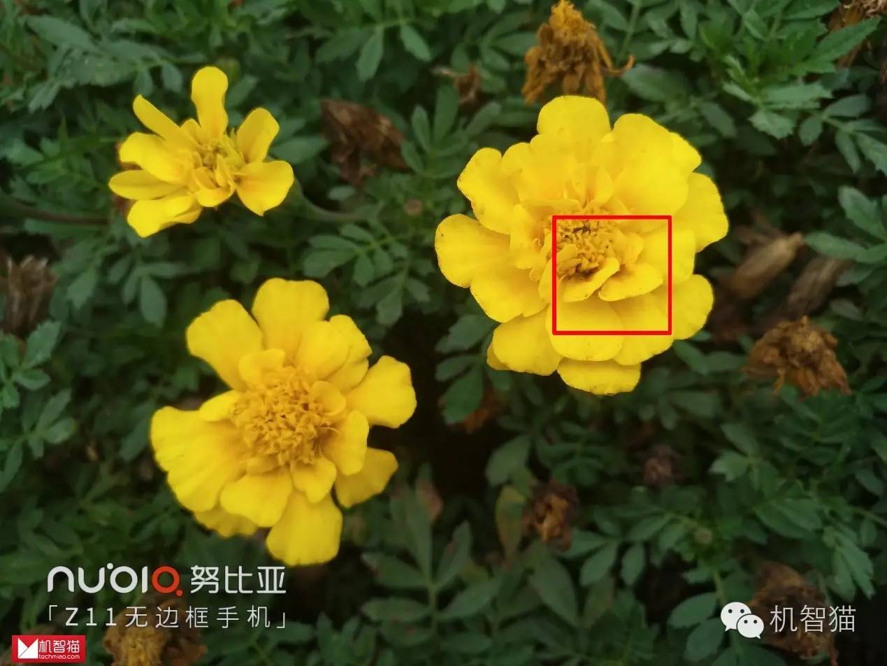 安卓狂野飙车8闪退，狂野飙车8闪退怎么办（从“噱头”到“变现”）