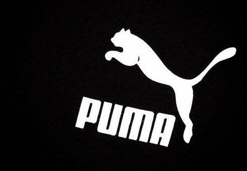 puma是哪个国家的品牌，puma彪马品牌详解