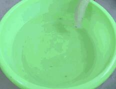 白醋和小苏打清洗洗衣机顺序，白醋和小苏打清洗洗衣机顺序视频（洗衣机里倒点这个）