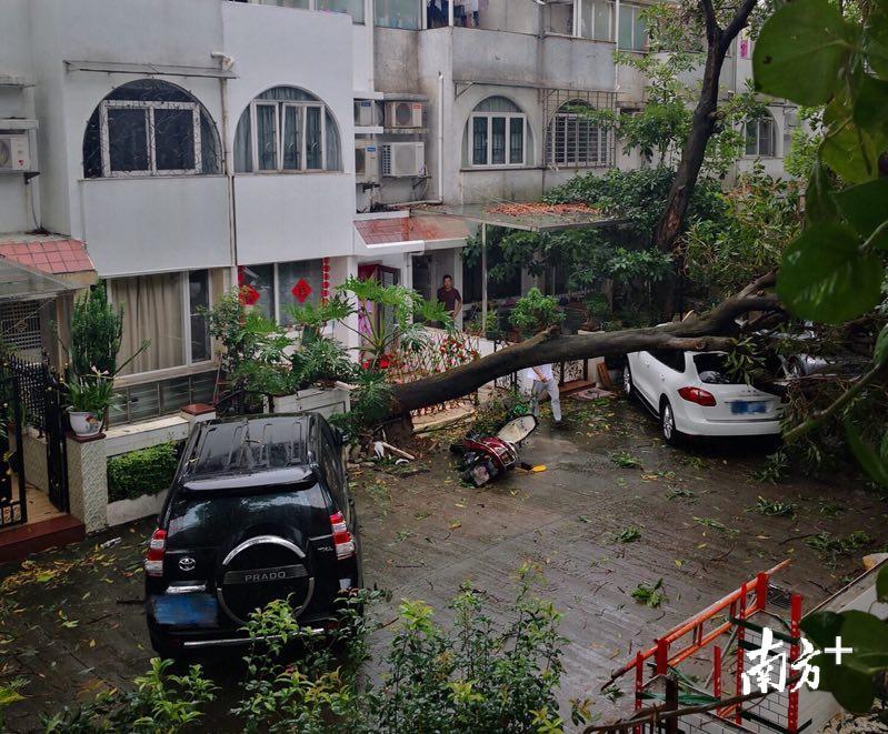 祈福新村家电维修 台风“山竹”走后的番禺祈福新村，40多辆私家车不同程度受损