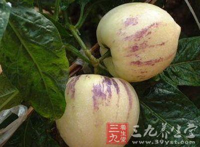 人参果的功效与作用，吃人参果的好处与功效及禁忌（吃人参果的禁忌）