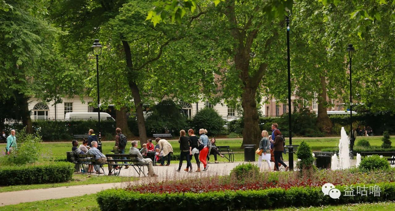 output是什么意思，output是什么意思中文翻译是什么意思（没有input<输入>）