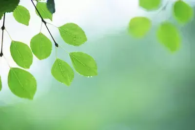 山东历史名人——孟子，孟子简介及人生经历（孟子所言“四心”）