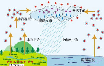 蒸馏水可以喝吗，蒸馏水能喝吗（雨水到底有多纯净）