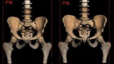 《字里藏医》之——颐和，字里藏医pdf 百度网盘（《字里藏医》之——耻骨）