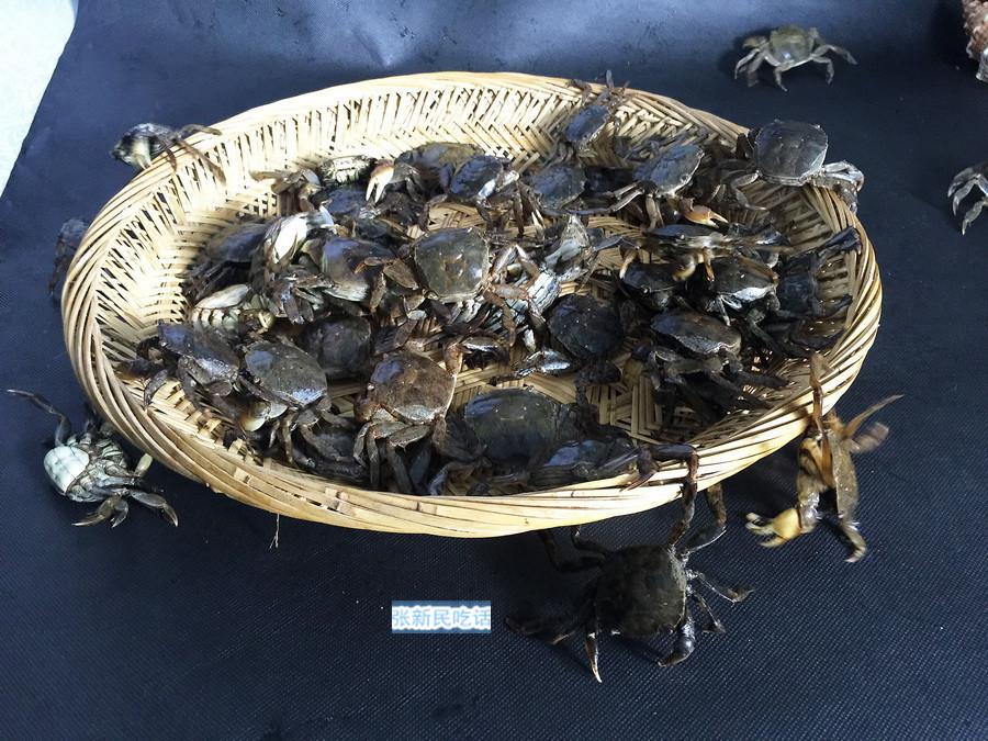 怎么处理扁蟹，螃蟹 怎么处理（潮汕人经常用来腌制生吃的“瘪蟹”或小扁蟹到底是什么蟹）