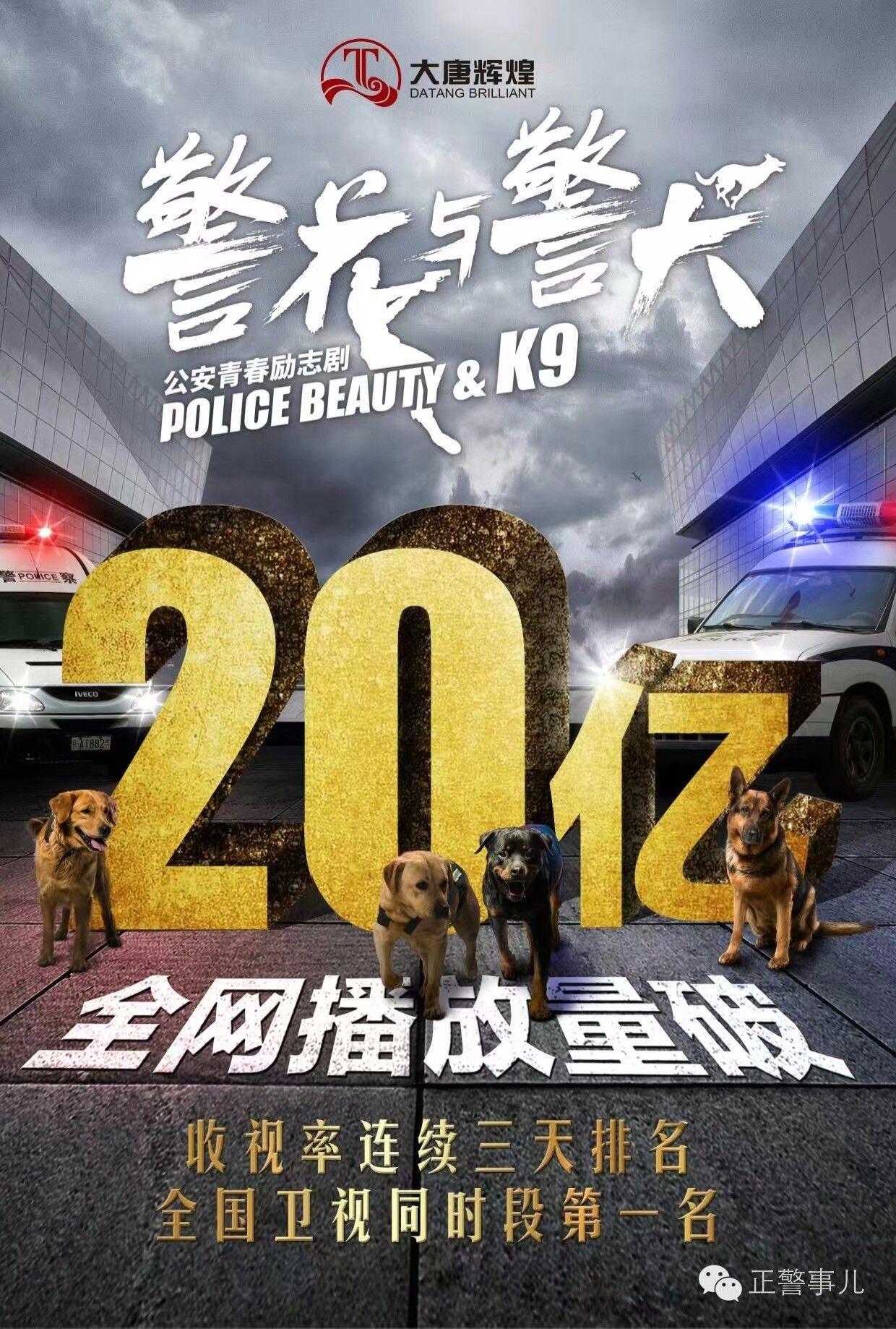 警花与警犬2图片