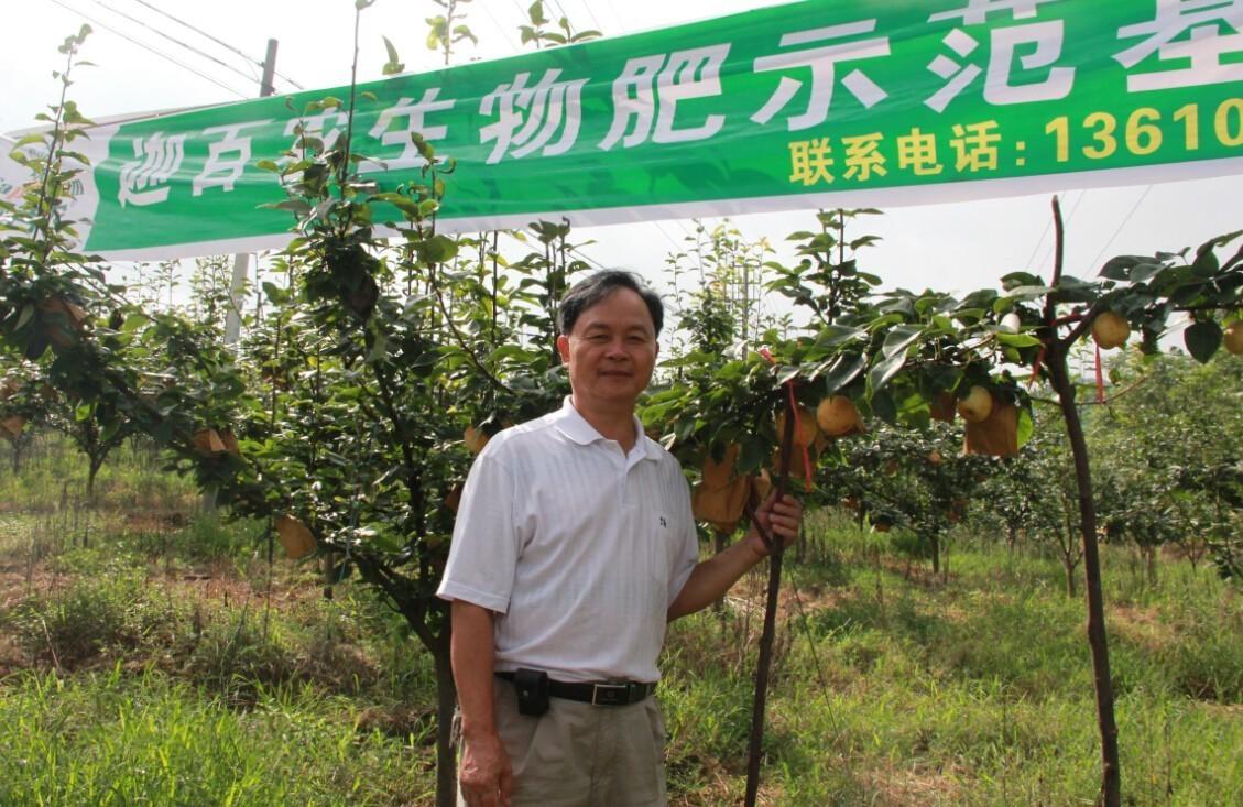 水晶梨的方法怎么做，怎么做水晶梨?怎么做水晶泥（灾后保产保质该怎么做）