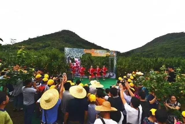 水晶梨的方法怎么做，怎么做水晶梨?怎么做水晶泥（灾后保产保质该怎么做）