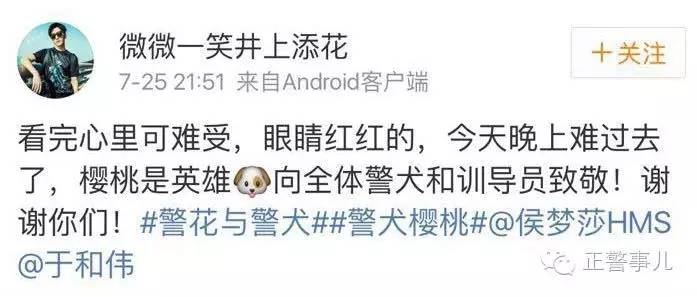 警花与警犬2开播时间，警花与警犬第二季什么时候播出（这部收视率冠军的电视剧你要是没看就OUT了）