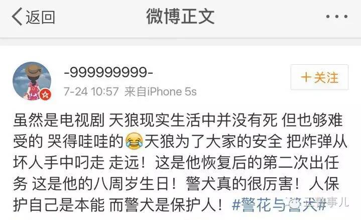 警花与警犬2开播时间，警花与警犬第二季什么时候播出（这部收视率冠军的电视剧你要是没看就OUT了）
