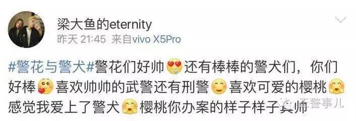 警花与警犬2开播时间，警花与警犬第二季什么时候播出（这部收视率冠军的电视剧你要是没看就OUT了）