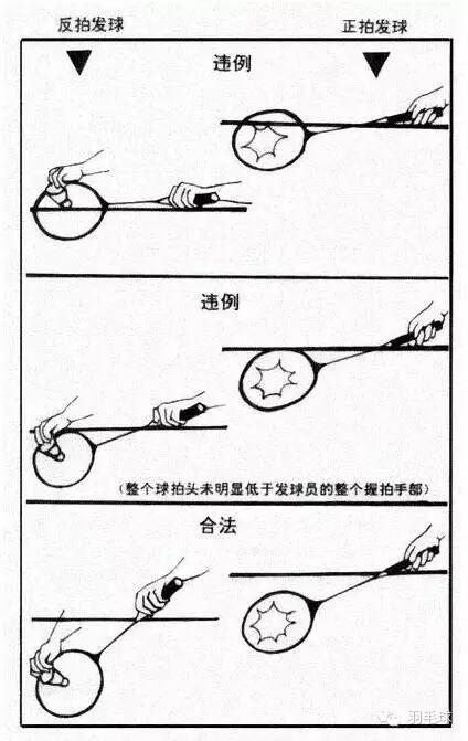 乒乓球发球规则，乒乓球发球规则是什么（发球规则，你都了解了么）