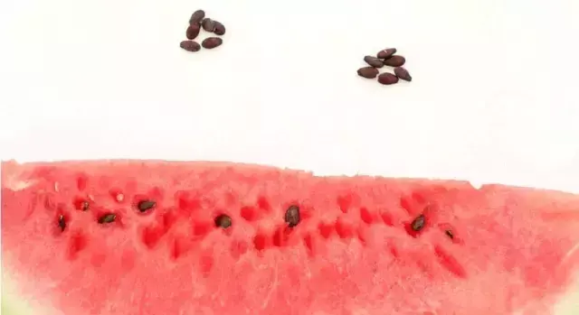 韭菜籽功效，韭菜籽配什么壮阳最猛（这8种果蔬的籽是好用又便宜的“良药”）