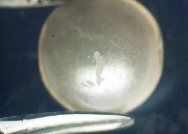 人造珍珠是什么制成的，人造珍珠和合成珍珠的差别（7大方法快速鉴别塑料仿制珍珠、玻璃珍珠、贝壳珍珠）