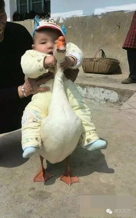 qq群怎么设置管理员，QQ群里怎么设置管理员（当过最大的官也就是ＱQ群管理员了）