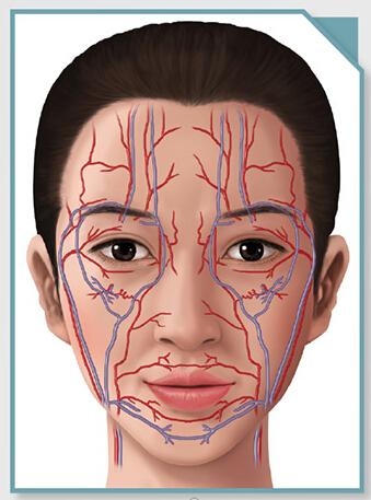 瘦腿針多少,瘦腿針多少錢一針一般啊(對青黴素過敏的人)