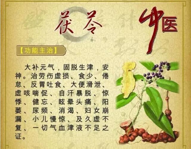 美容草药功效图片大全图片