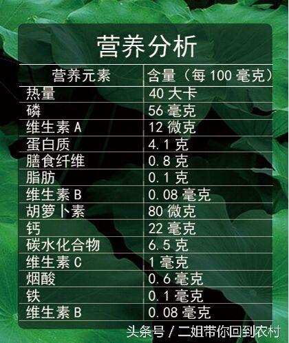 荷叶茶减肥有什么注意事项，荷叶茶要怎样喝会减肥（农村喂猪都被嫌弃的东西）