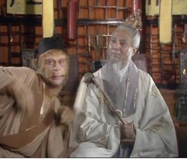 须菩提是什么意思，须菩提于意云何是什么意思（须菩提祖师是一个真实存在的人物吗）