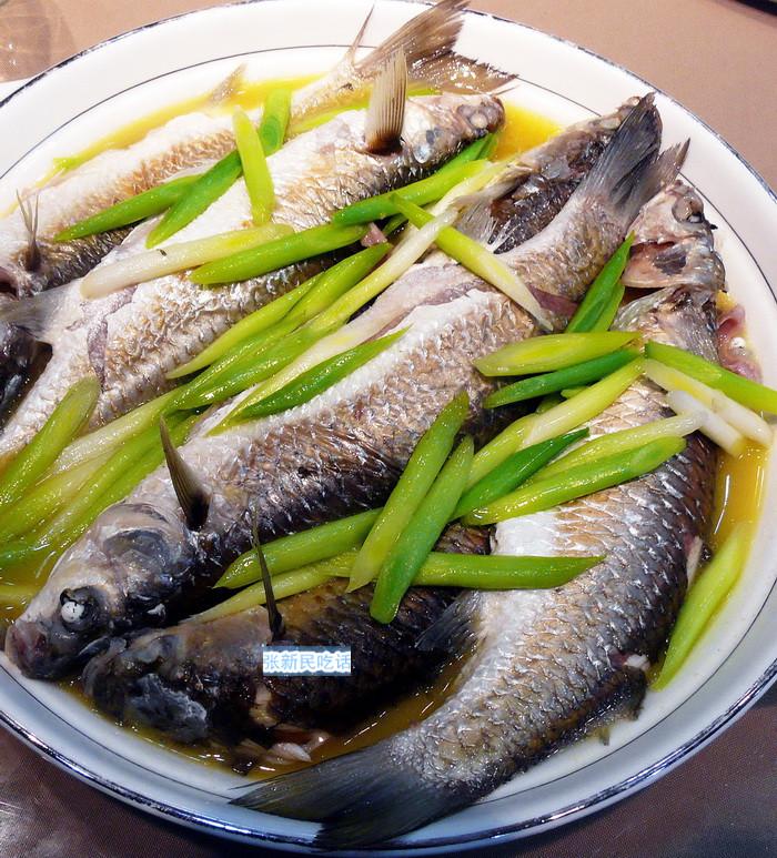 鲩鱼和草鱼的区别 ，鲩鱼和草鱼的区别（深意是强调应时而食和不时不食）