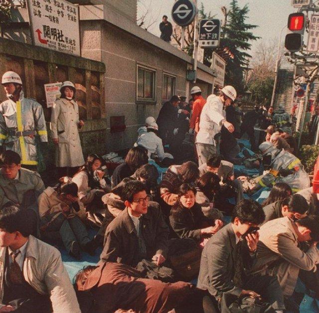 古田顺子游泳六不准，古田哪里可以游泳（11区奇异事件簿丨一言不合就杀人）