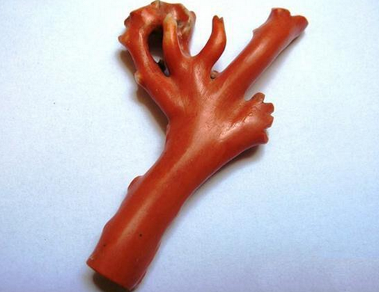 金丝海柳是什么材质，金丝海柳是什么材质的怎么分辨真假（回家再后悔钱包被骗空也没有用了）