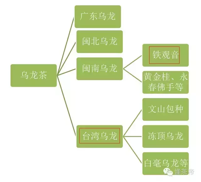 乌龙茶和铁观音的区别，铁观音茶叶是绿茶吗（铁观音和台湾乌龙）