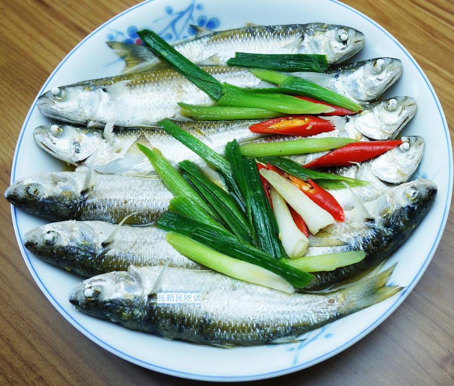 鲩鱼和草鱼的区别 ，鲩鱼和草鱼的区别（深意是强调应时而食和不时不食）