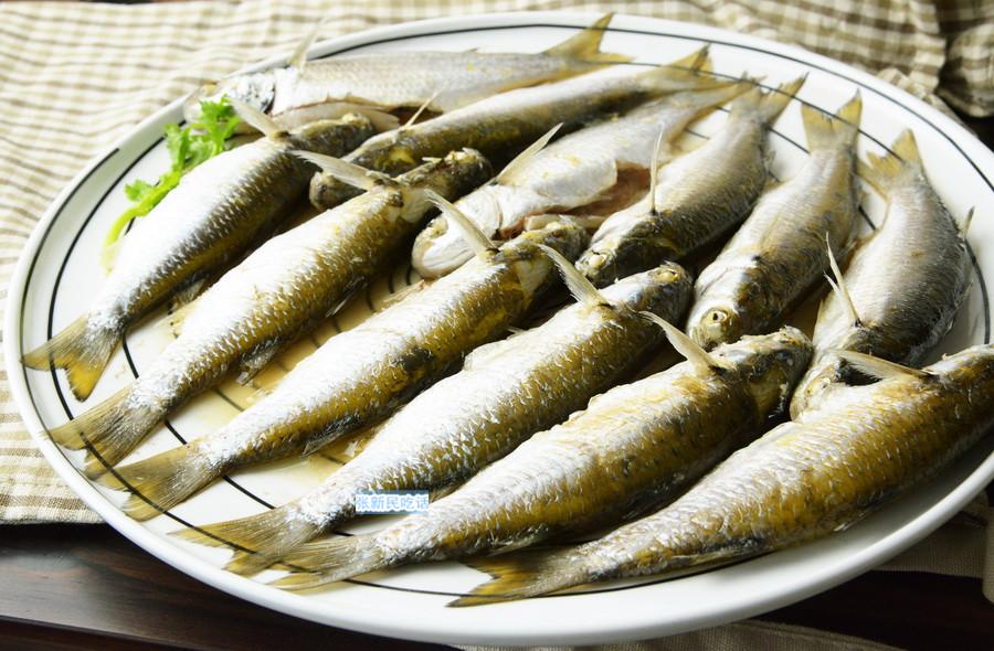 鲩鱼和草鱼的区别 ，鲩鱼和草鱼的区别（深意是强调应时而食和不时不食）
