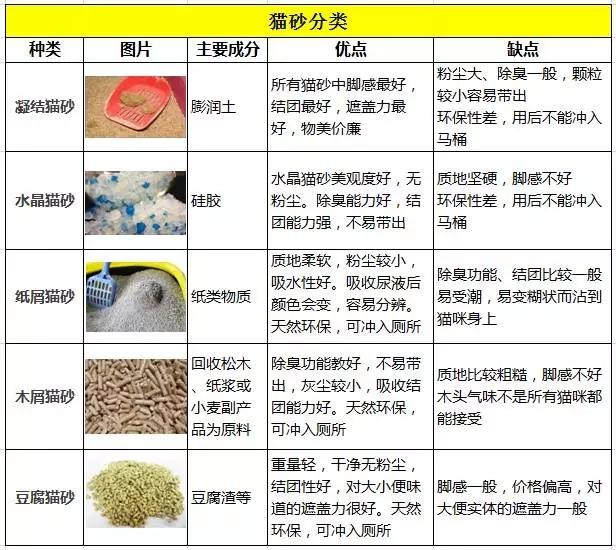 猫砂有多少种？（选对猫砂，让你的猫咪更健康舒适）