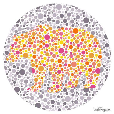 色盲测试卡，色盲测试国际标准版（测了才知道原来色盲这么多啊）