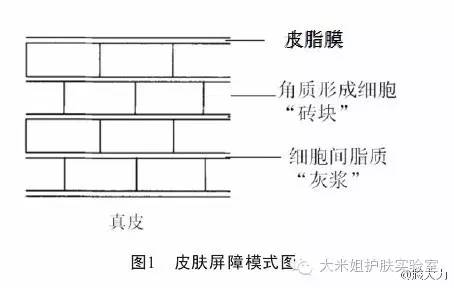 酒精挥发是什么变化，酒精挥发是物理变化还是化学变化（酒精带给皮肤的最大伤害是隐形的。）