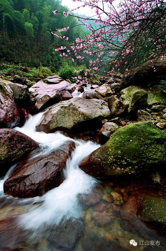 仙霞关旅游攻略,仙霞关怎么走不需门票(一篇图文教你轻松玩转江山保安