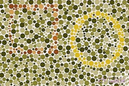 色盲测试卡，色盲测试国际标准版（测了才知道原来色盲这么多啊）