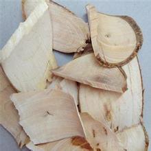 穿山甲的功效与作用是什么，植物中的穿山甲