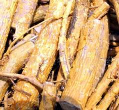 穿山甲的功效与作用是什么，植物中的穿山甲