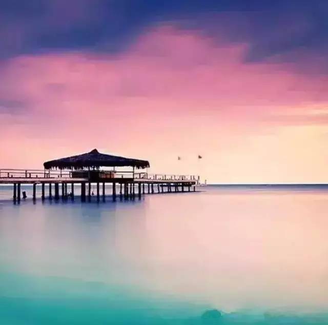 席慕容简介，席慕容简介300字（席慕蓉：最美的八首诗歌）