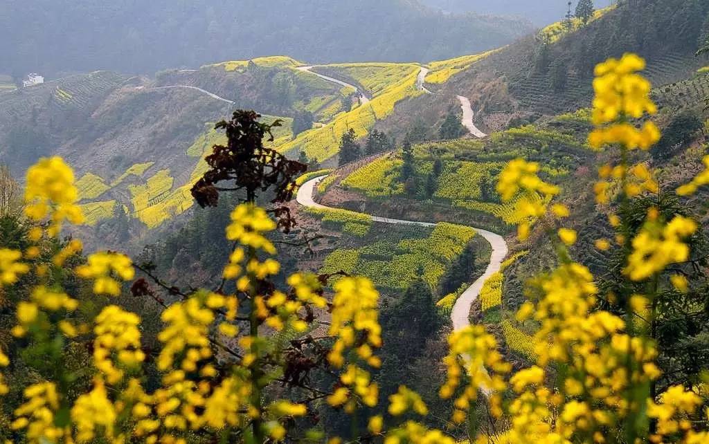 席慕容简介，席慕容简介300字（席慕蓉：最美的八首诗歌）