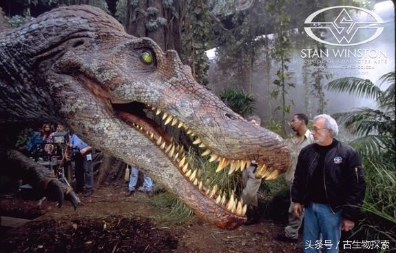 为什么海相地层中会有陆生爬行动物的化石，高山上有海洋生物化石是地壳运动吗（揭开最大食肉恐龙的神秘面纱）